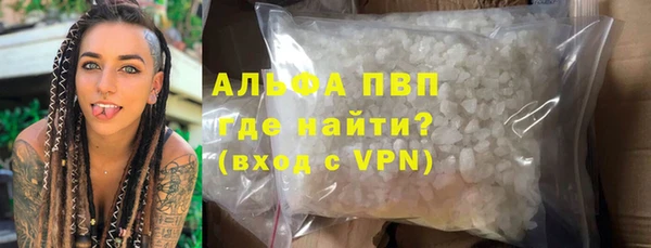 гашиш Богданович