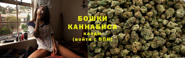 гашиш Богданович