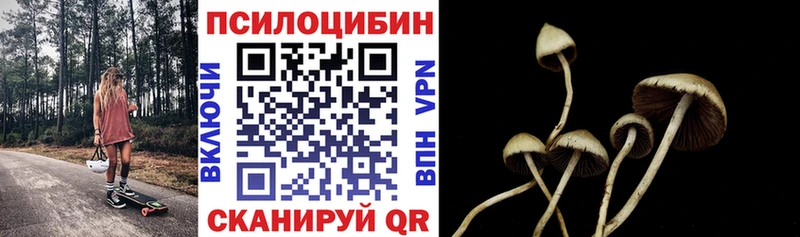 купить закладку  Высоцк  Галлюциногенные грибы прущие грибы 